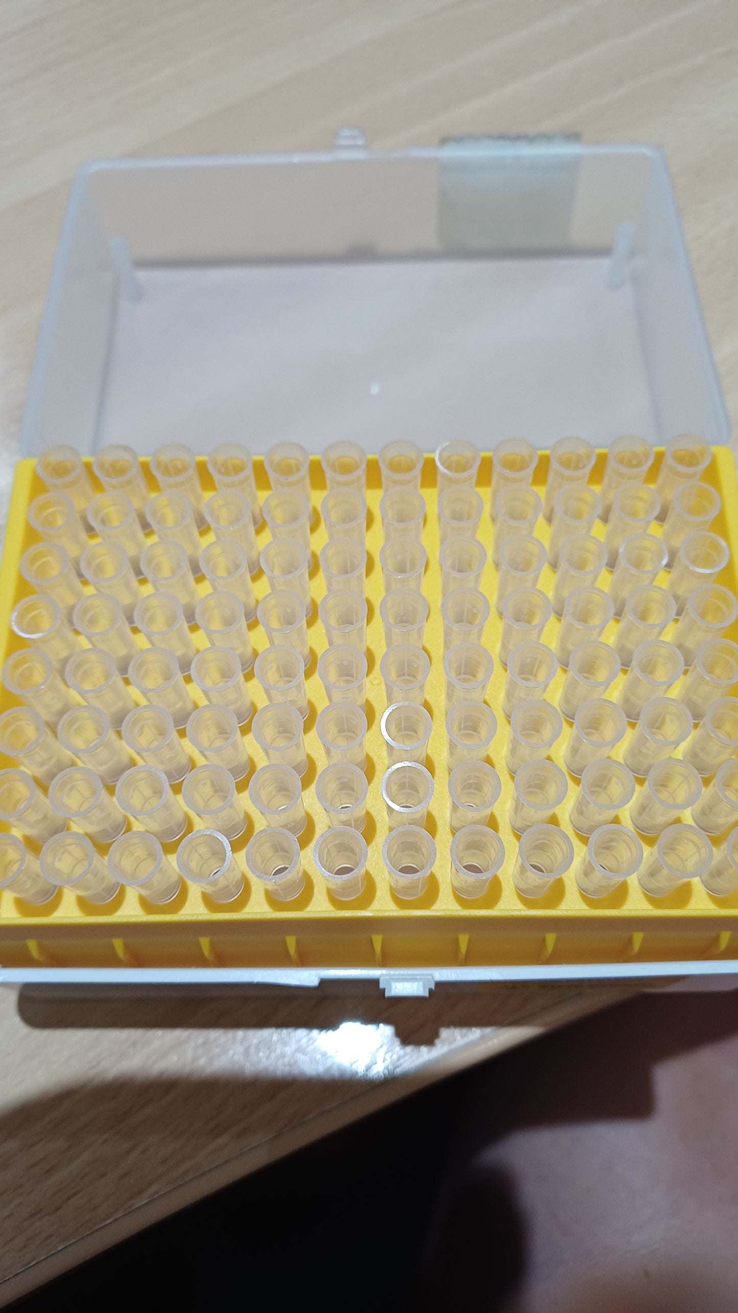 Gilson D200 pipettes 200UL, box of 96